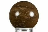 Polished Petrified Palmwood (Palmoxylon) Sphere - Myanmar #330199-1